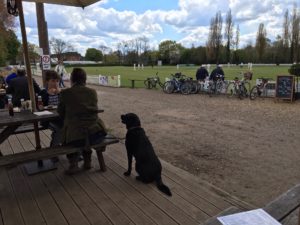 Labradors and village cricket .. perfect place to stop for lunch 