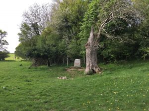 The plaque, the ash tree and the well.